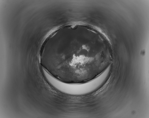 X0000099291221200805090922