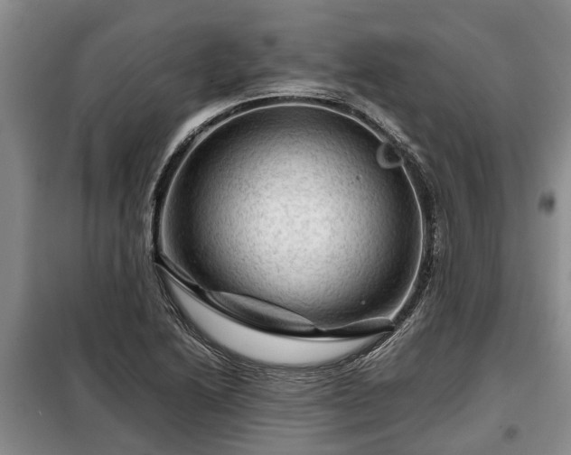 X0000099291222200805090922