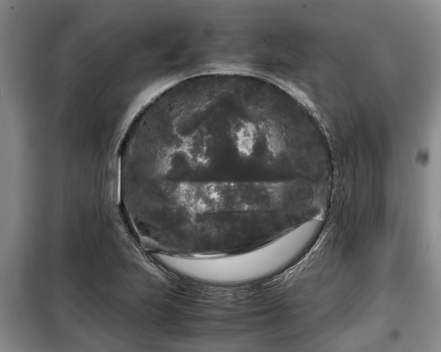 X0000099291223200805090922