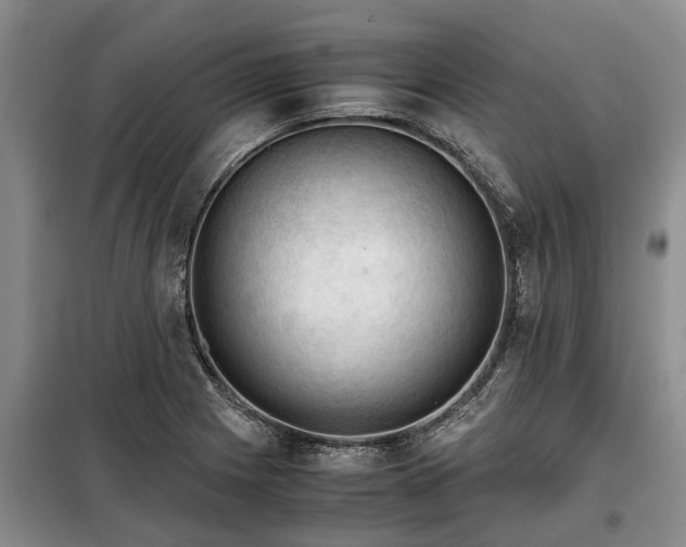 X0000099291225200805090922