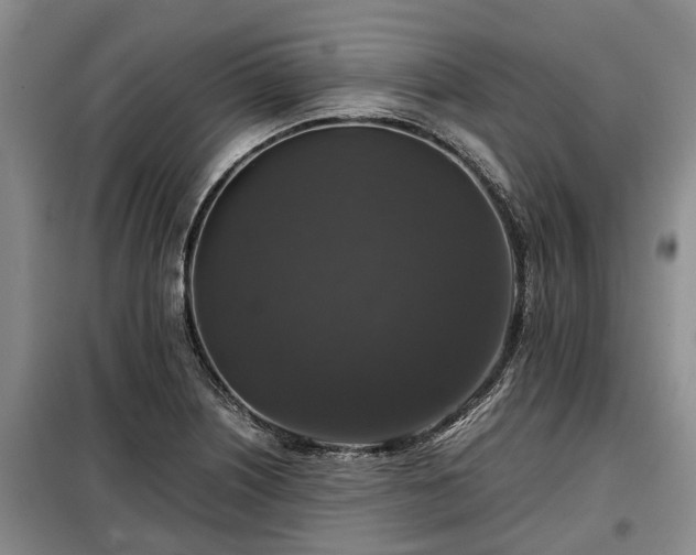 X0000099291226200805090922