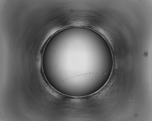 X0000099291227200805090922