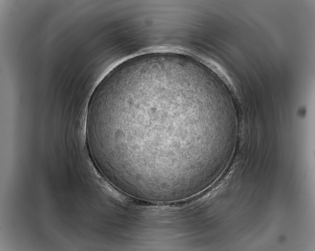 X0000099291228200805090922