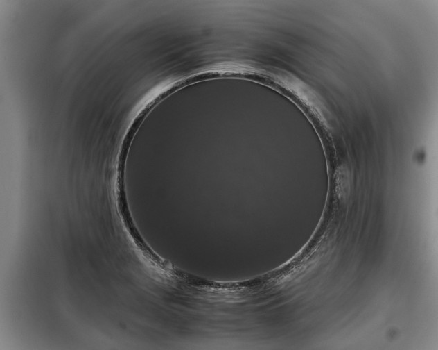 X0000099291229200805090922