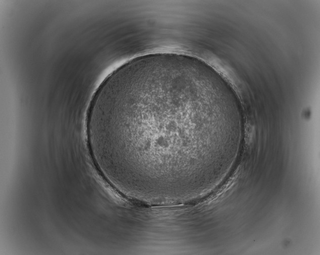 X0000099291230200805090922