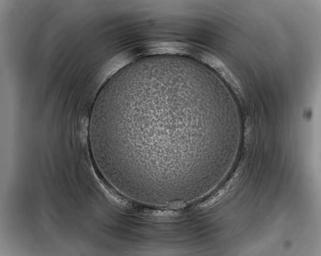 X0000099291233200805090922
