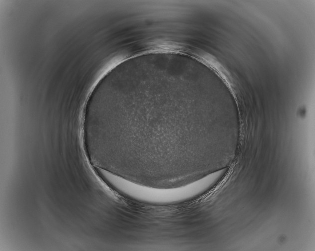 X0000099291235200805090922
