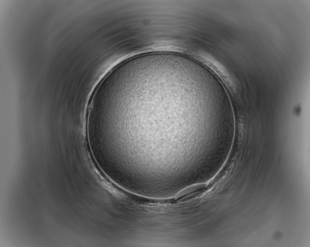 X0000099291236200805090922