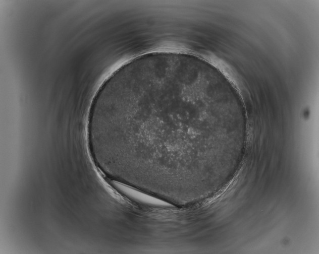 X0000099291237200805090922