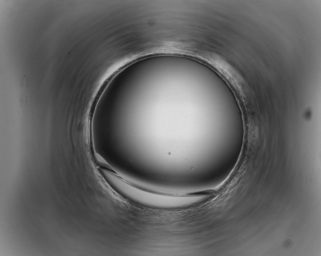 X0000099291238200805090922