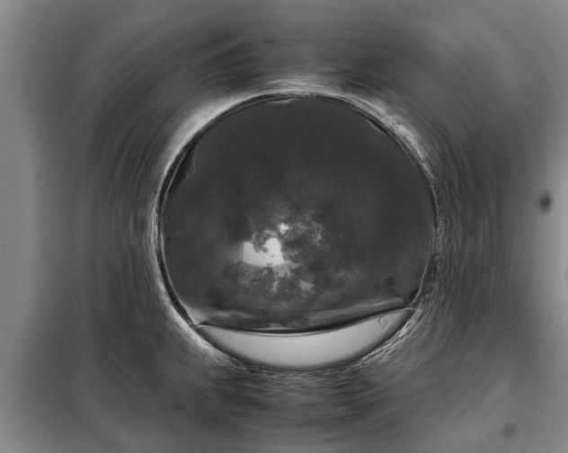 X0000099291239200805090922