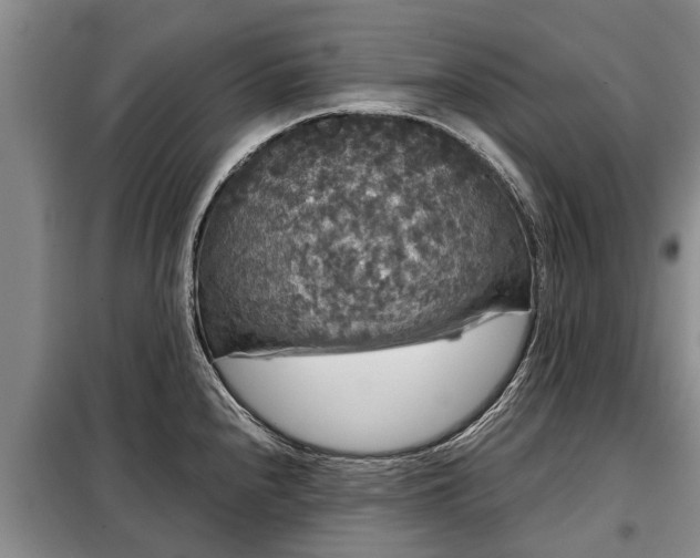 X0000099291240200805090922