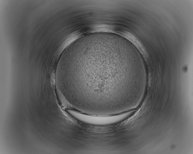 X0000099291241200805090922