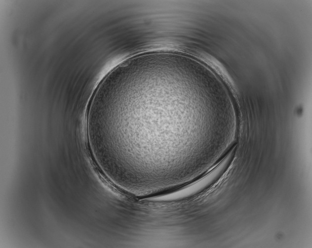 X0000099291242200805090922