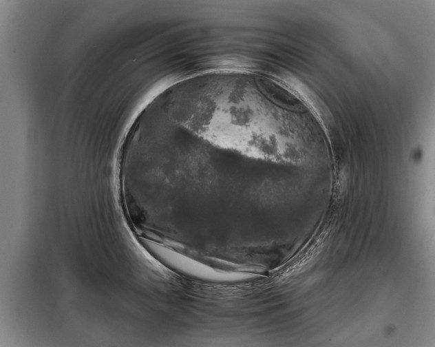 X0000099291243200805090922