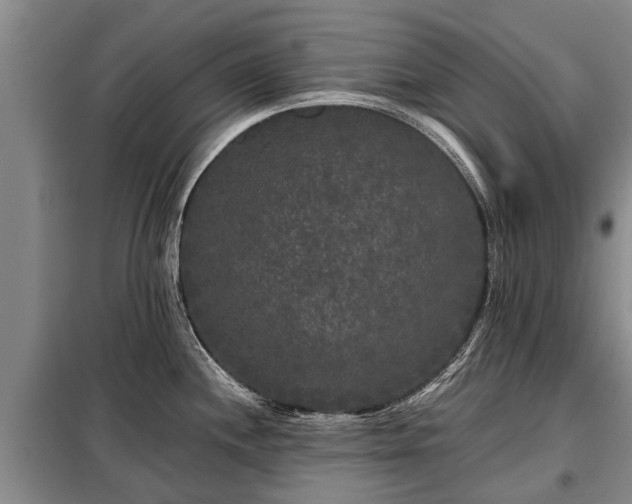 X0000099291244200805090922