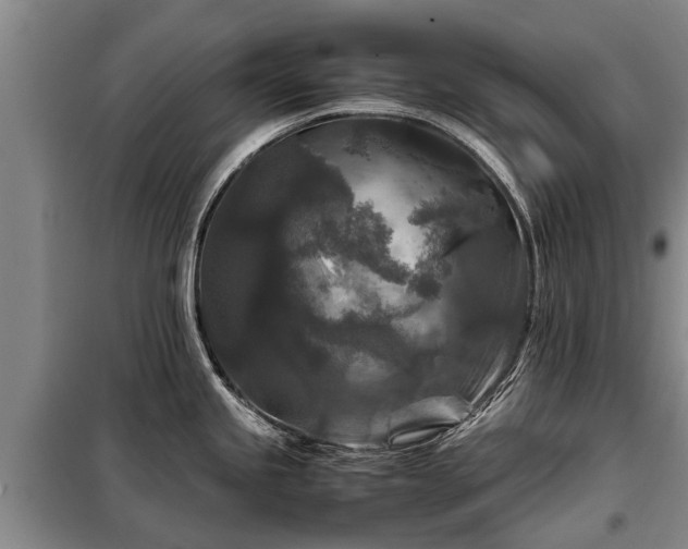 X0000099291245200805090922