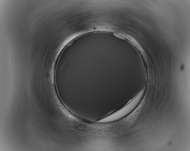 X0000099291246200805090922