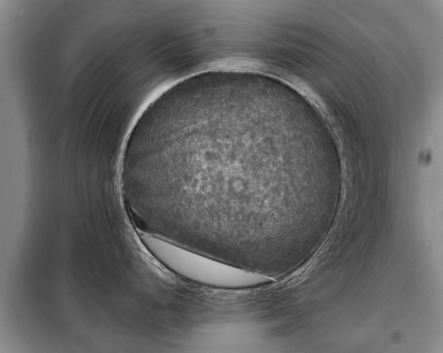 X0000099291248200805090922