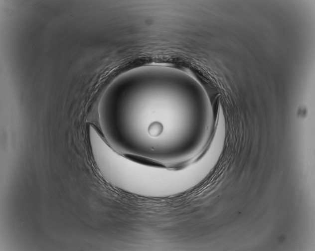 X0000099291249200805090922