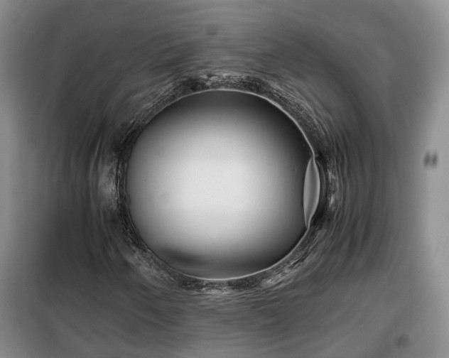X0000099291250200805090922