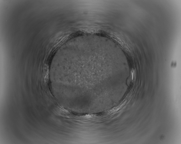 X0000099291251200805090922