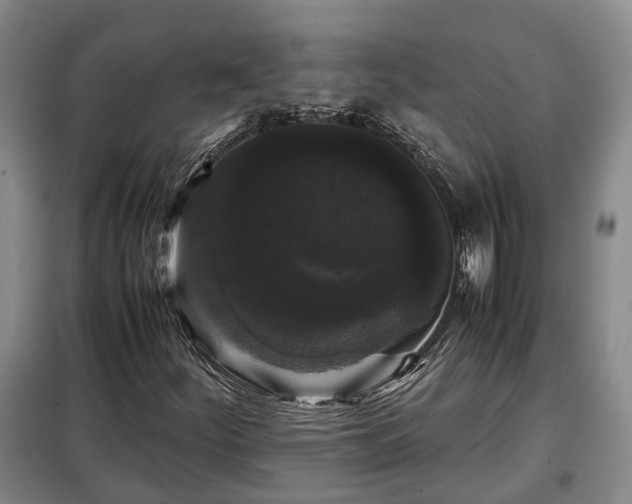 X0000099291252200805090922