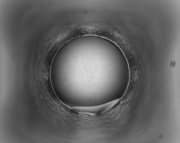 X0000099291253200805090922