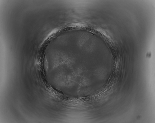 X0000099291254200805090921