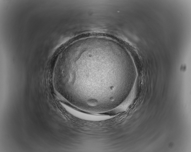 X0000099291255200805090921