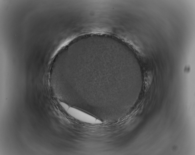 X0000099291256200805090921