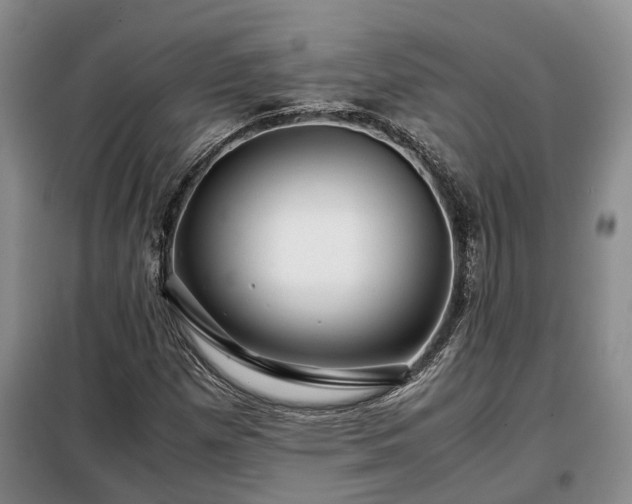 X0000099291257200805090921