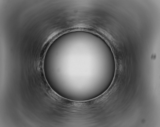 X0000099291258200805090921