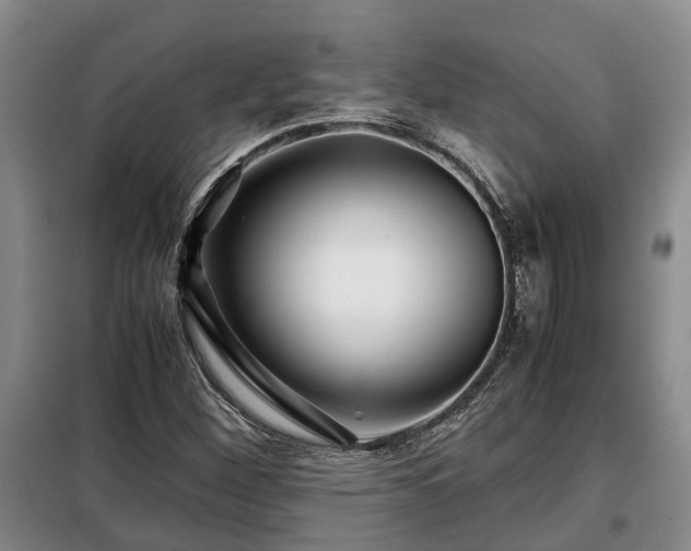X0000099291260200805090921