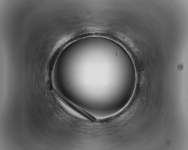 X0000099291261200805090921