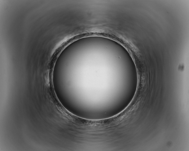 X0000099291262200805090921