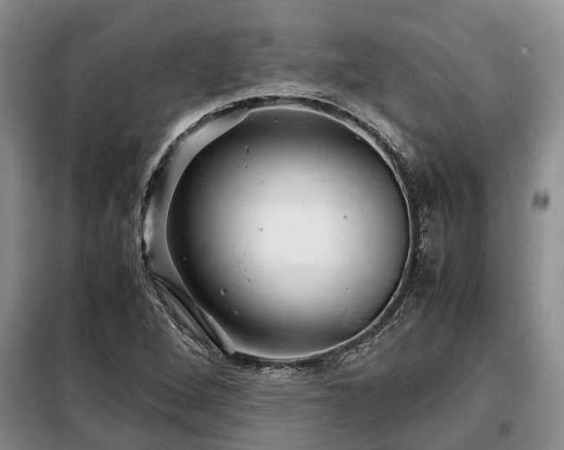 X0000099291264200805090921