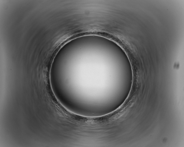 X0000099291265200805090921