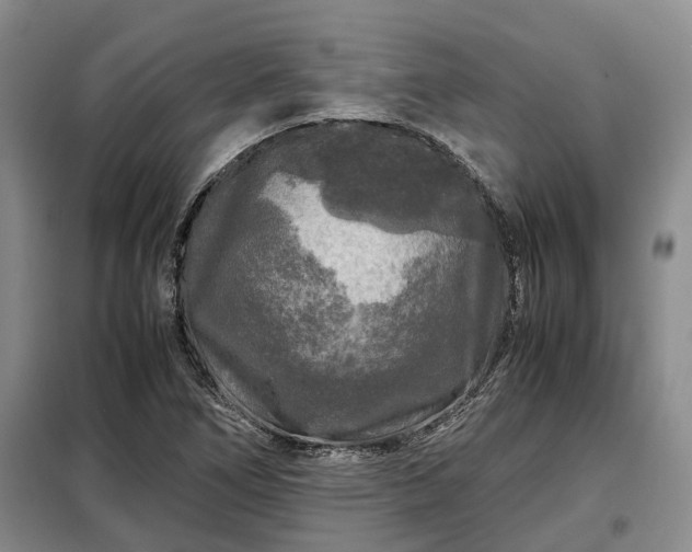 X0000099291266200805090921