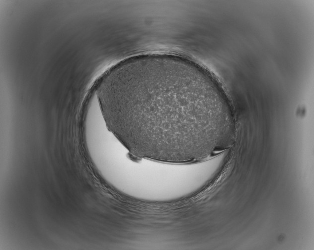 X0000099291267200805090921