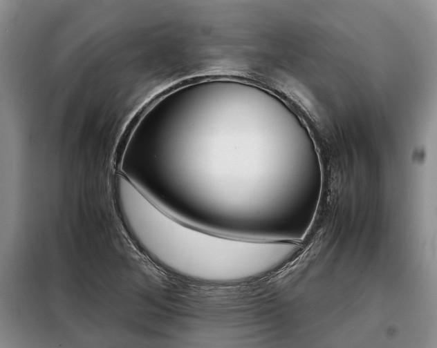 X0000099291268200805090921
