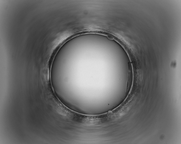 X0000099291269200805090921