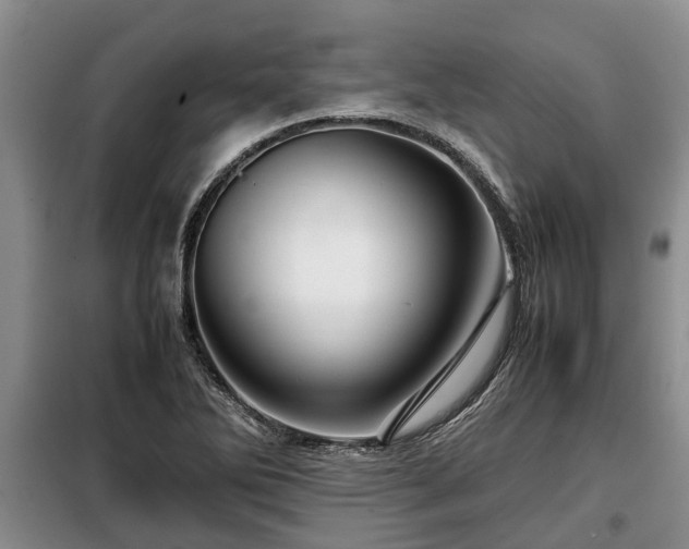 X0000099291270200805090921
