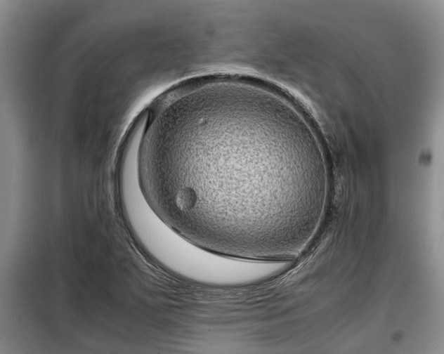 X0000099291271200805090921