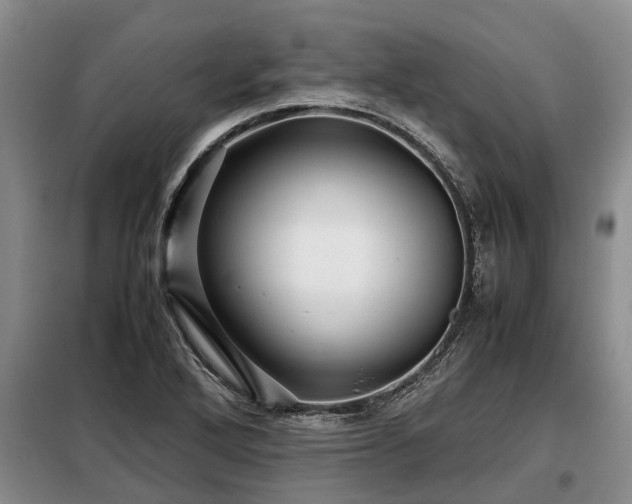 X0000099291272200805090921