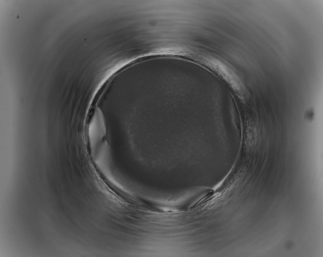 X0000099291276200805090921