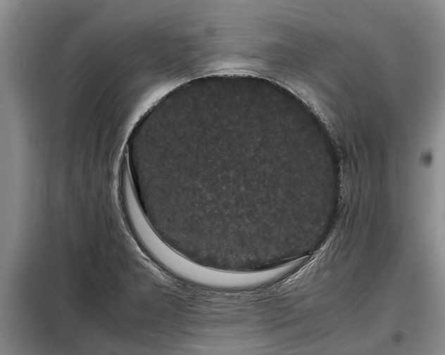 X0000099291277200805090921