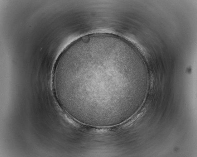 X0000099291278200805090921