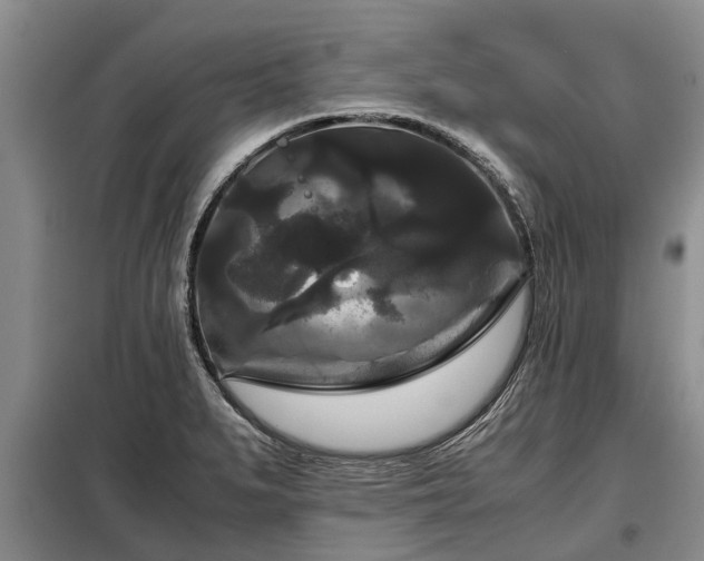 X0000099291279200805090921