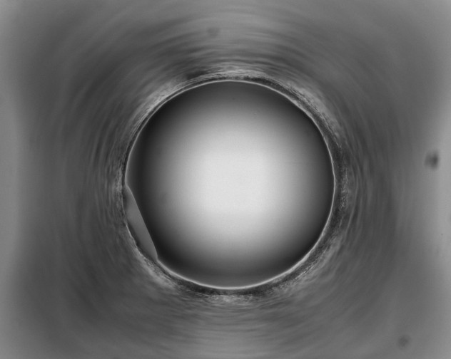 X0000099291281200805090921